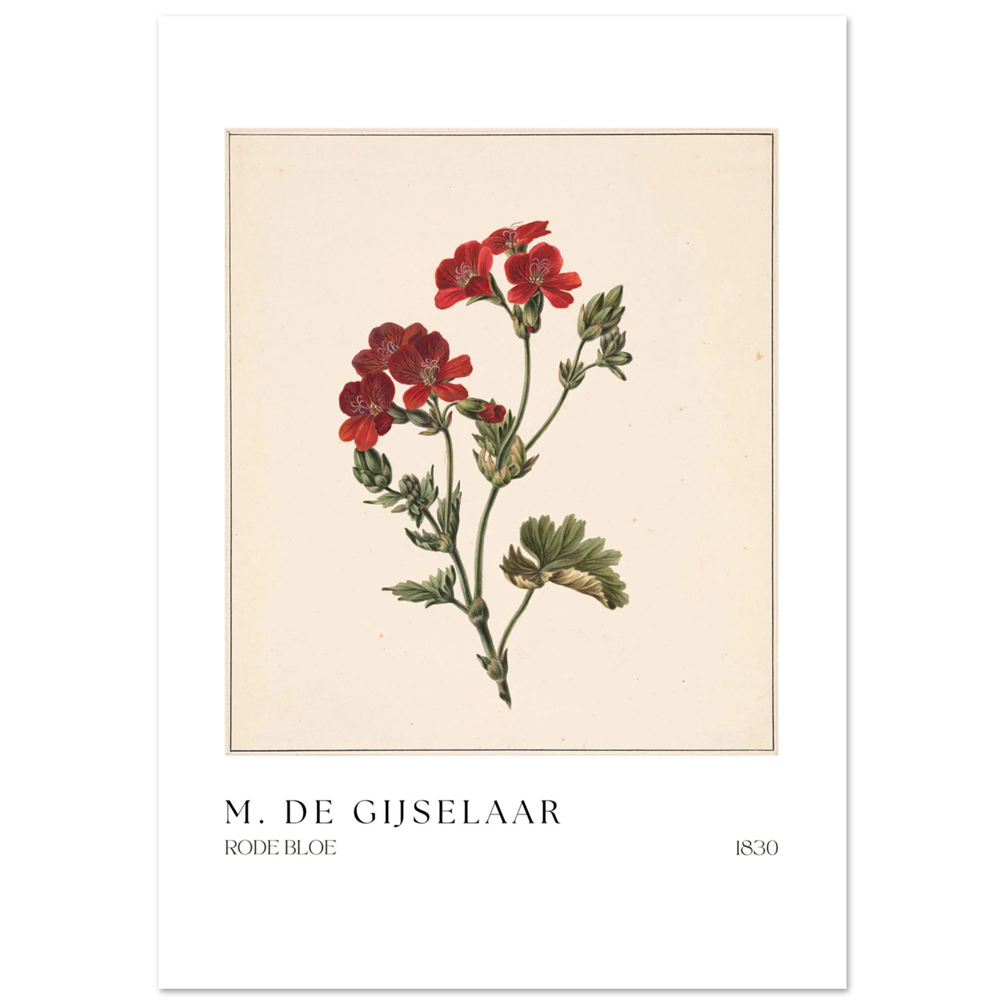 4f00f920-1af9-4458-a461-3feb8016b714