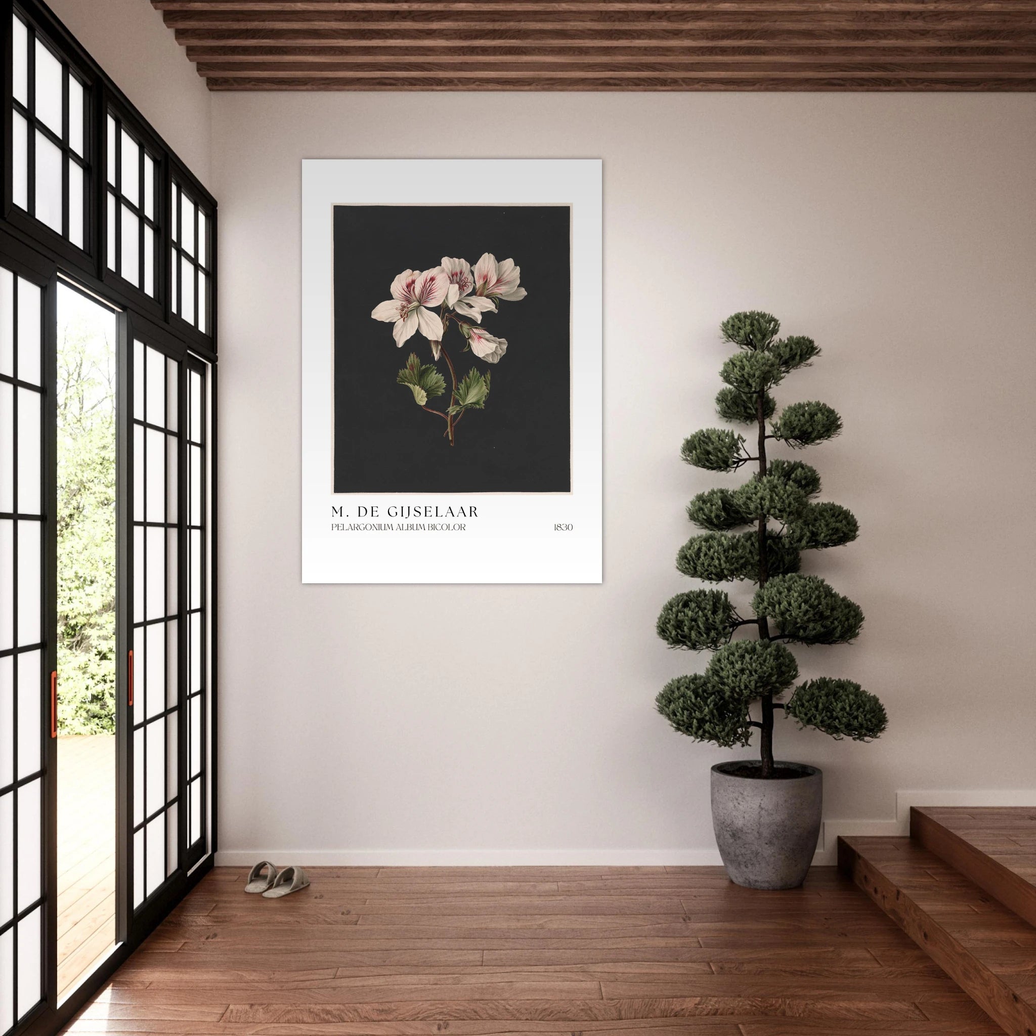 Pelargonium album bicolor Poster - Calda Design Studio