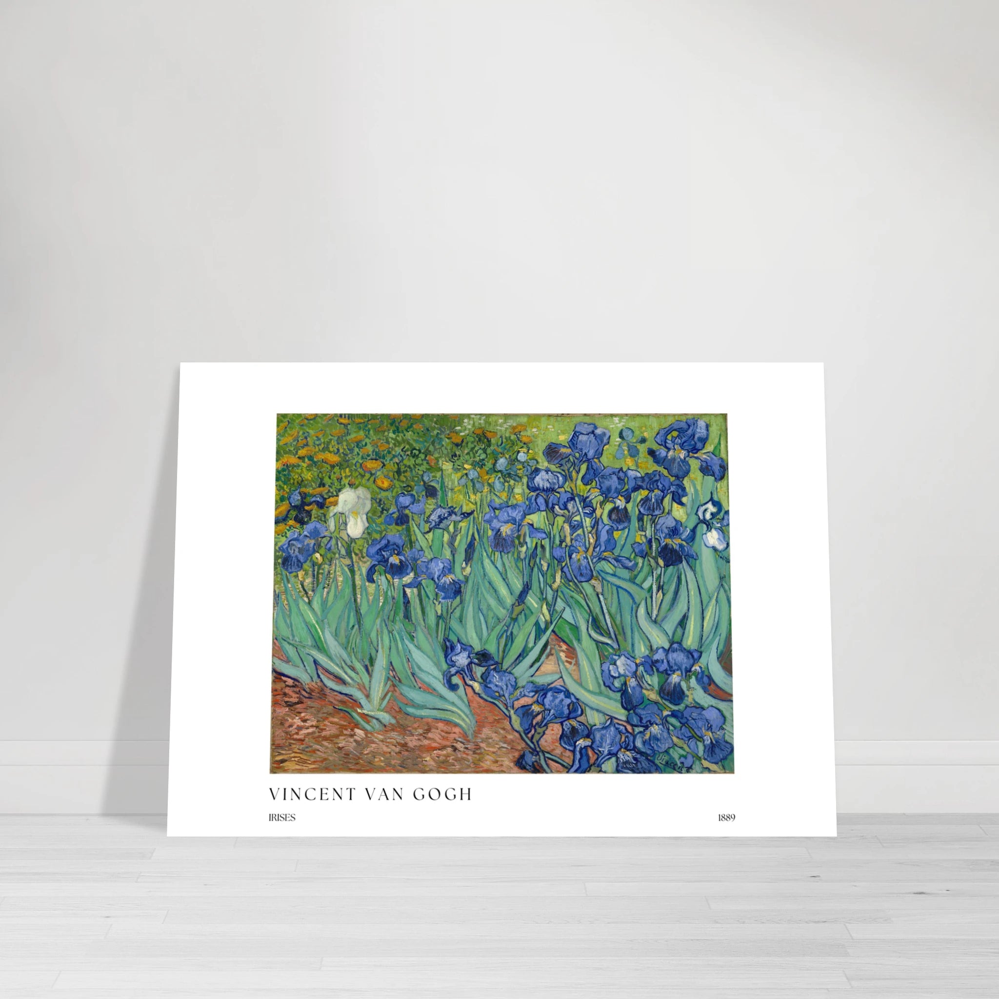 Irises Poster - Calda Design Studio