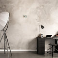 Fuji Poster - Calda Design Studio