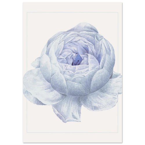 Blue Flower Poster - Calda Design Studio
