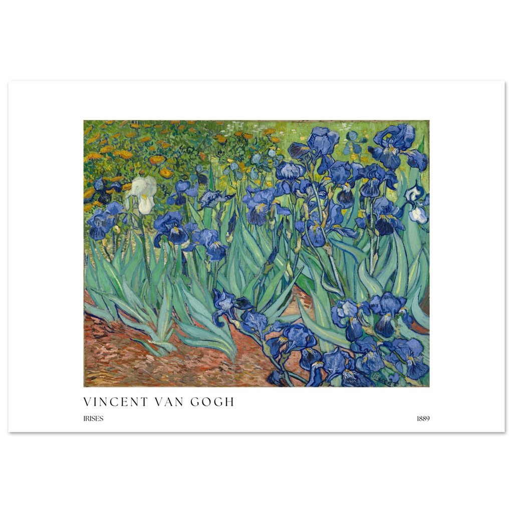 Irises Poster - Calda Design Studio