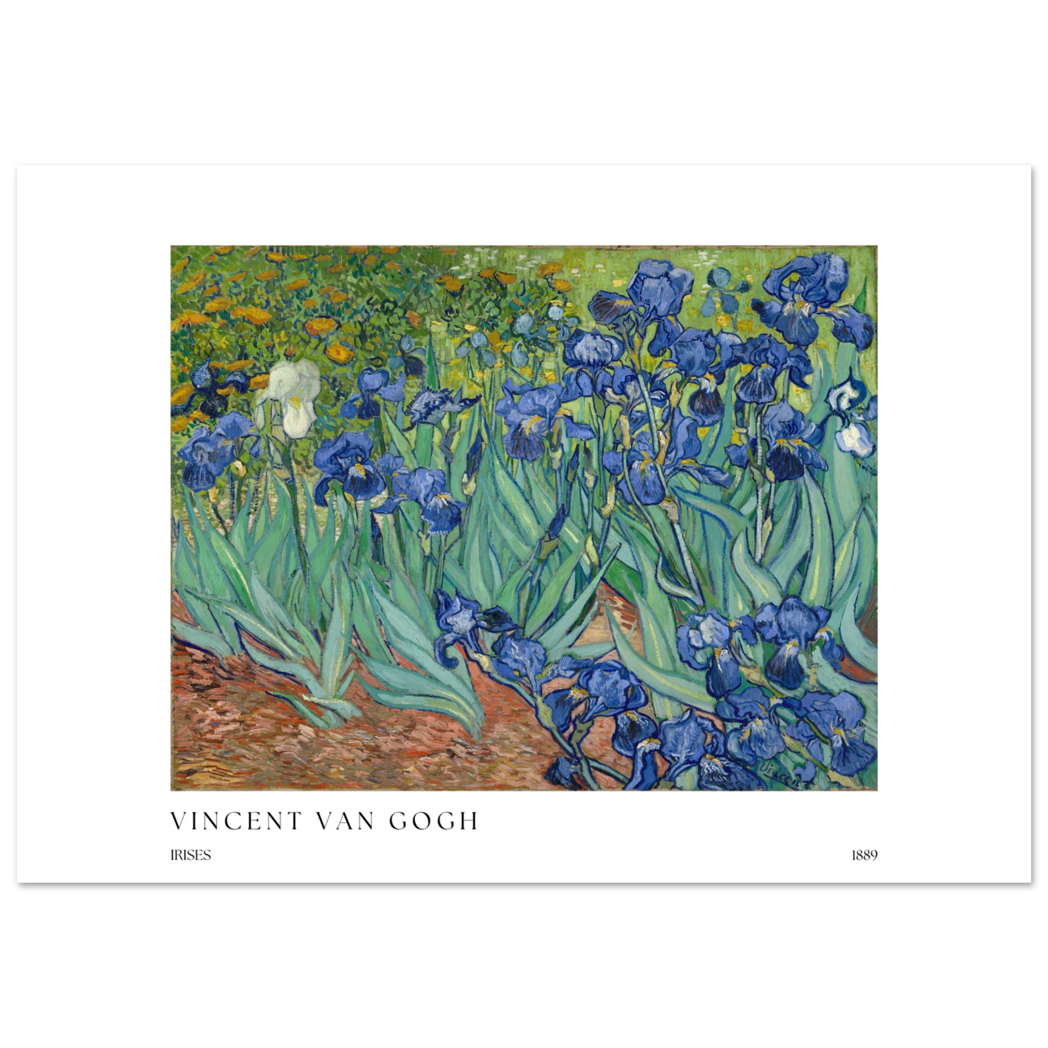 Irises Poster - Calda Design Studio