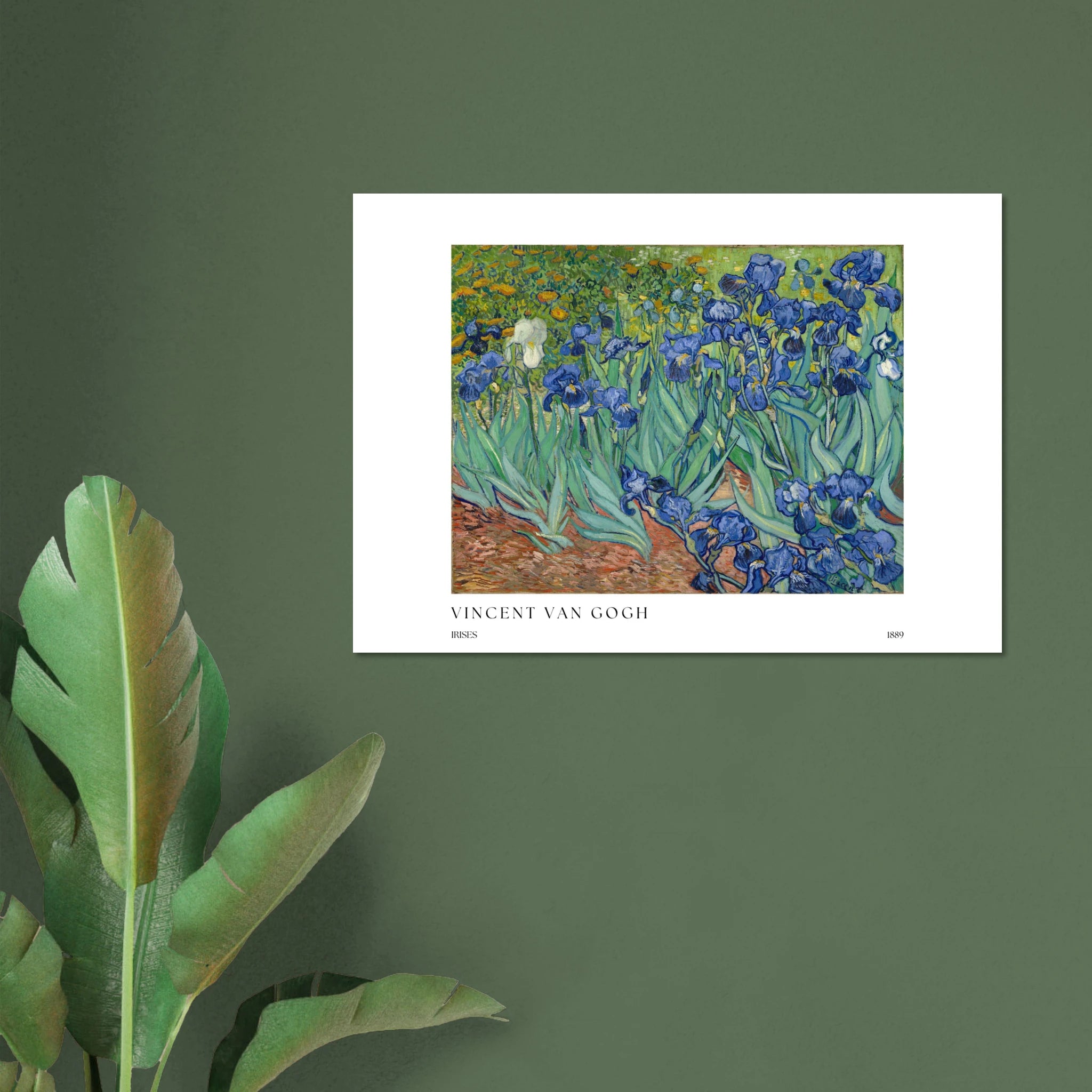 Irises Poster - Calda Design Studio
