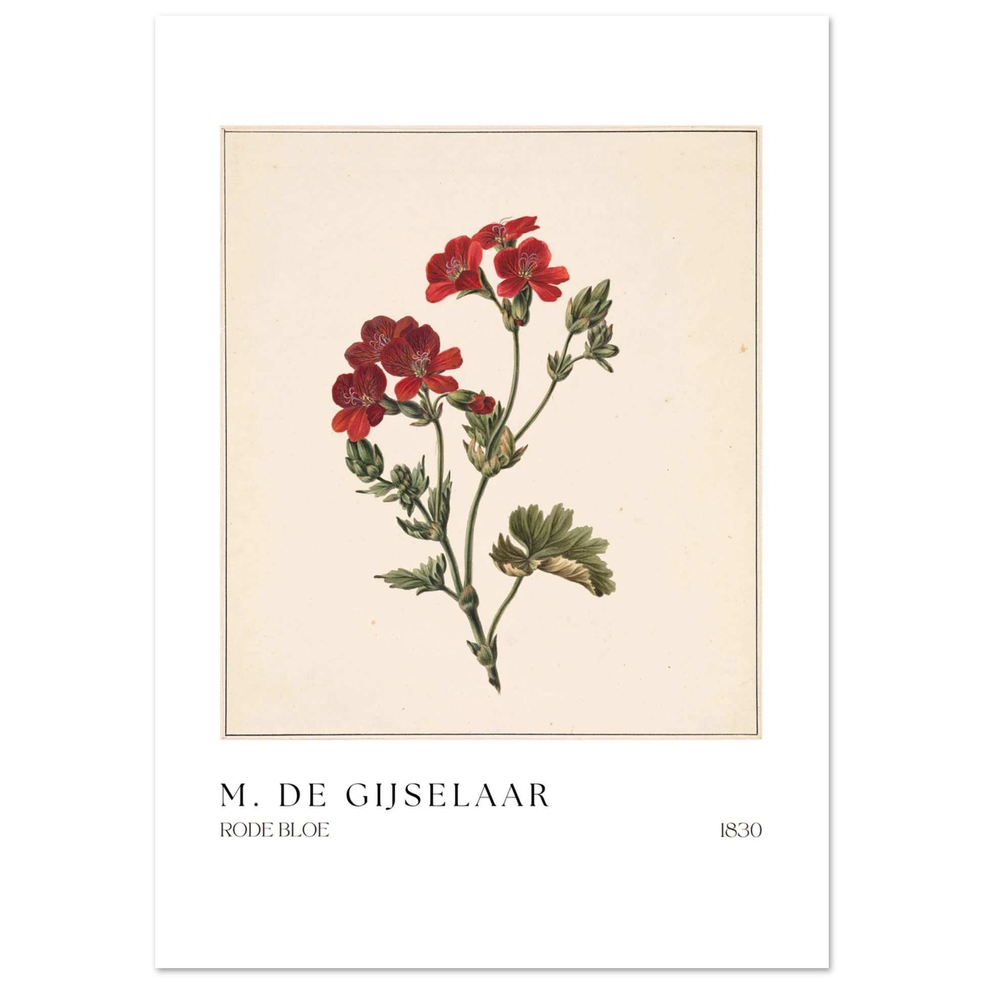 4f00f920-1af9-4458-a461-3feb8016b714