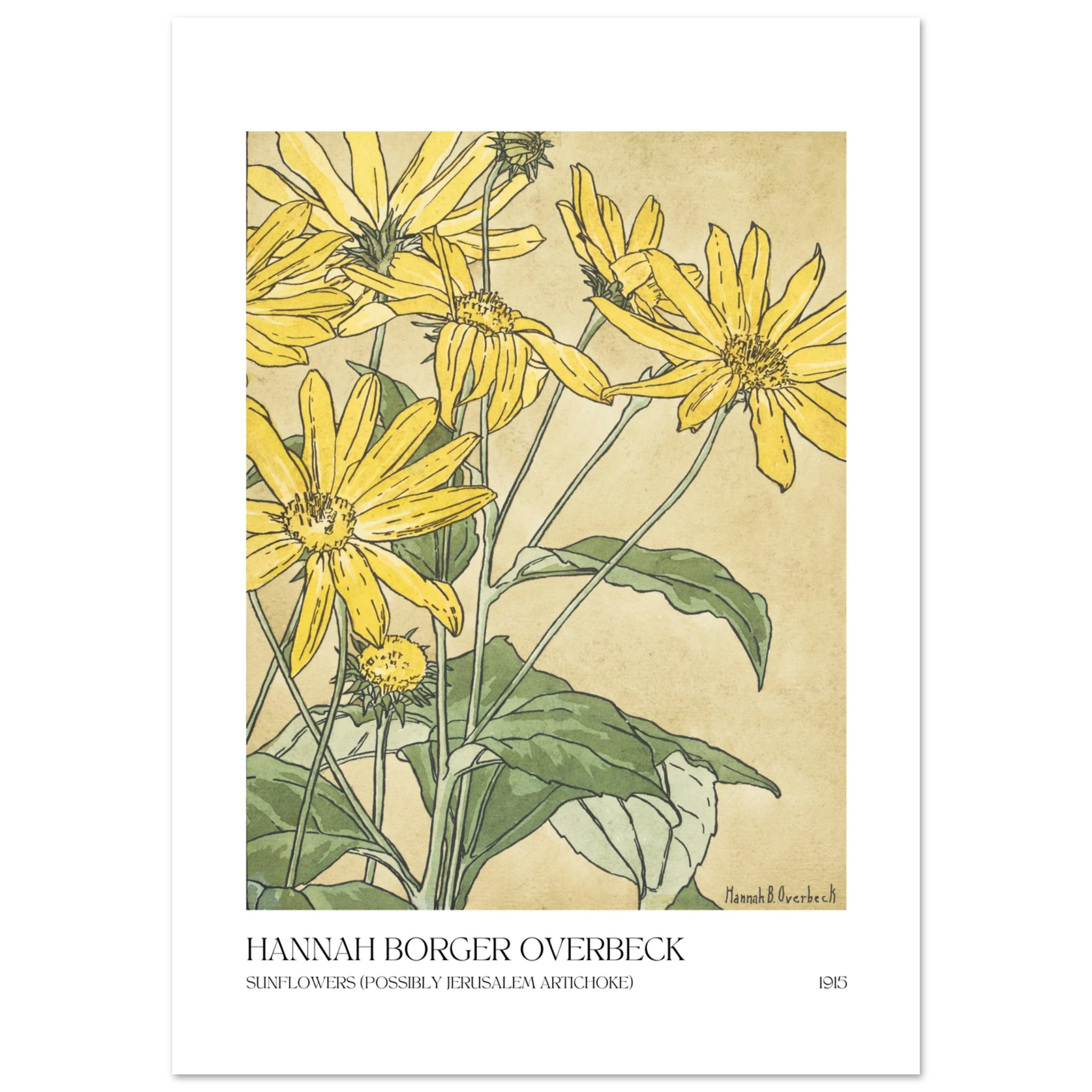 Sunflowers Poster - Calda Design Studio