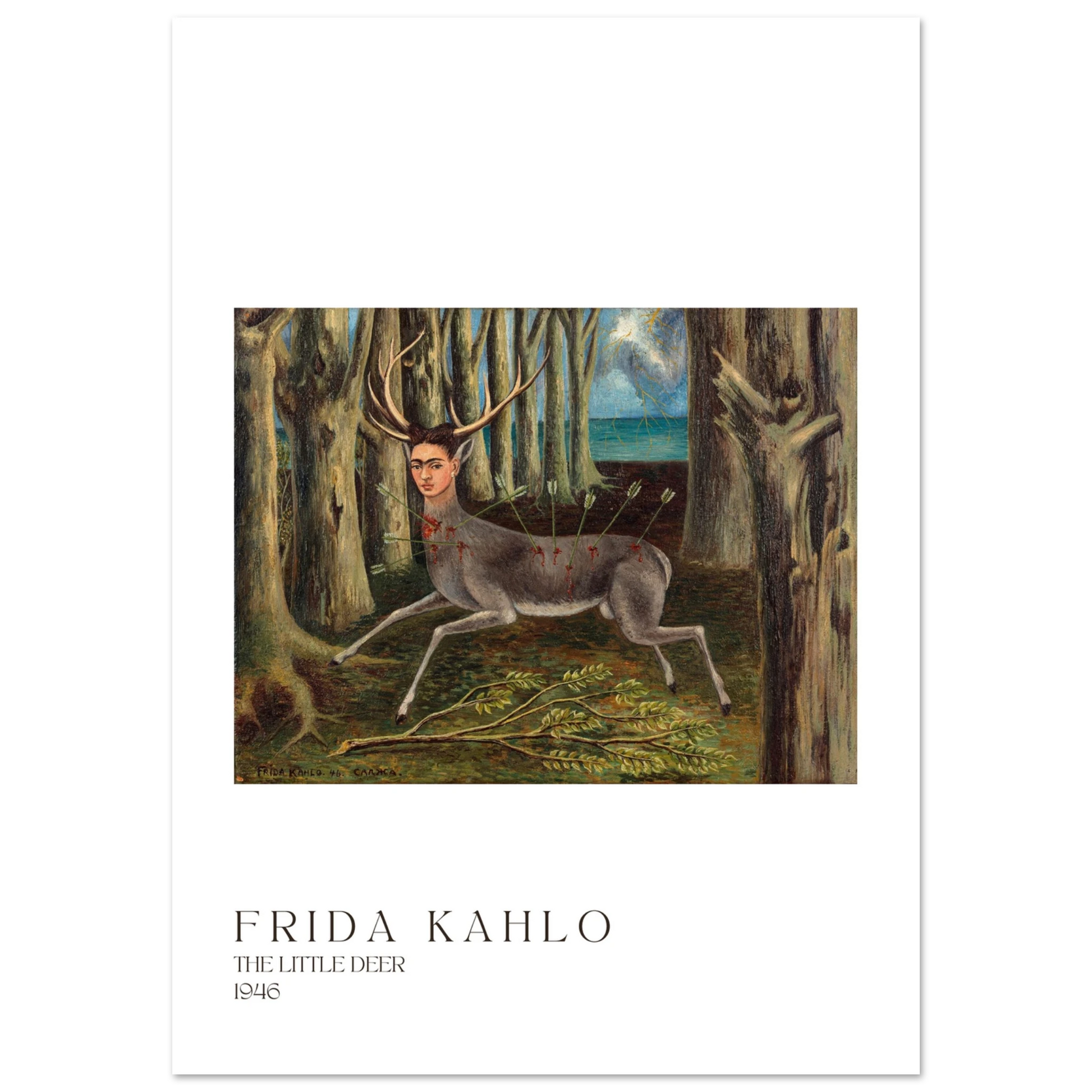 6a9ef6ed-da8f-4b97-84fe-1e71d9d165b2