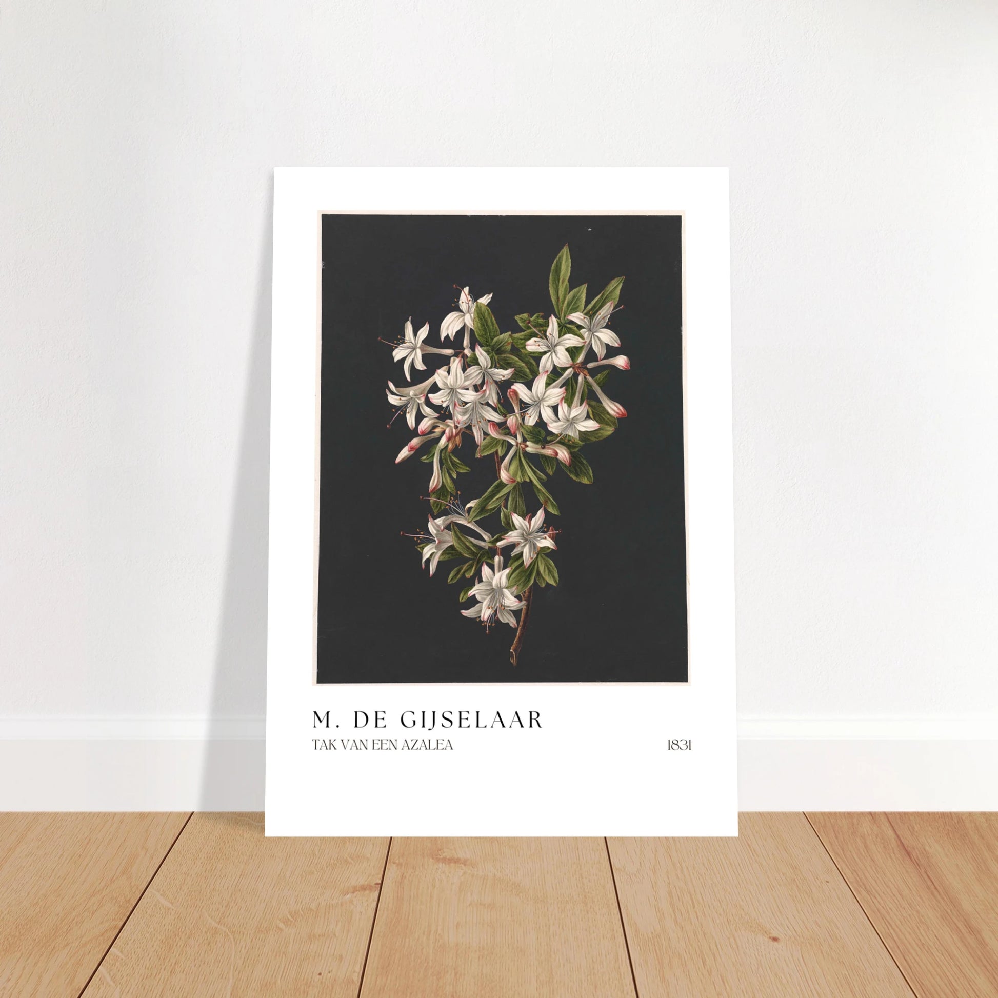 6c4821d8-d8f1-4ed9-ad49-0ce396366e3a