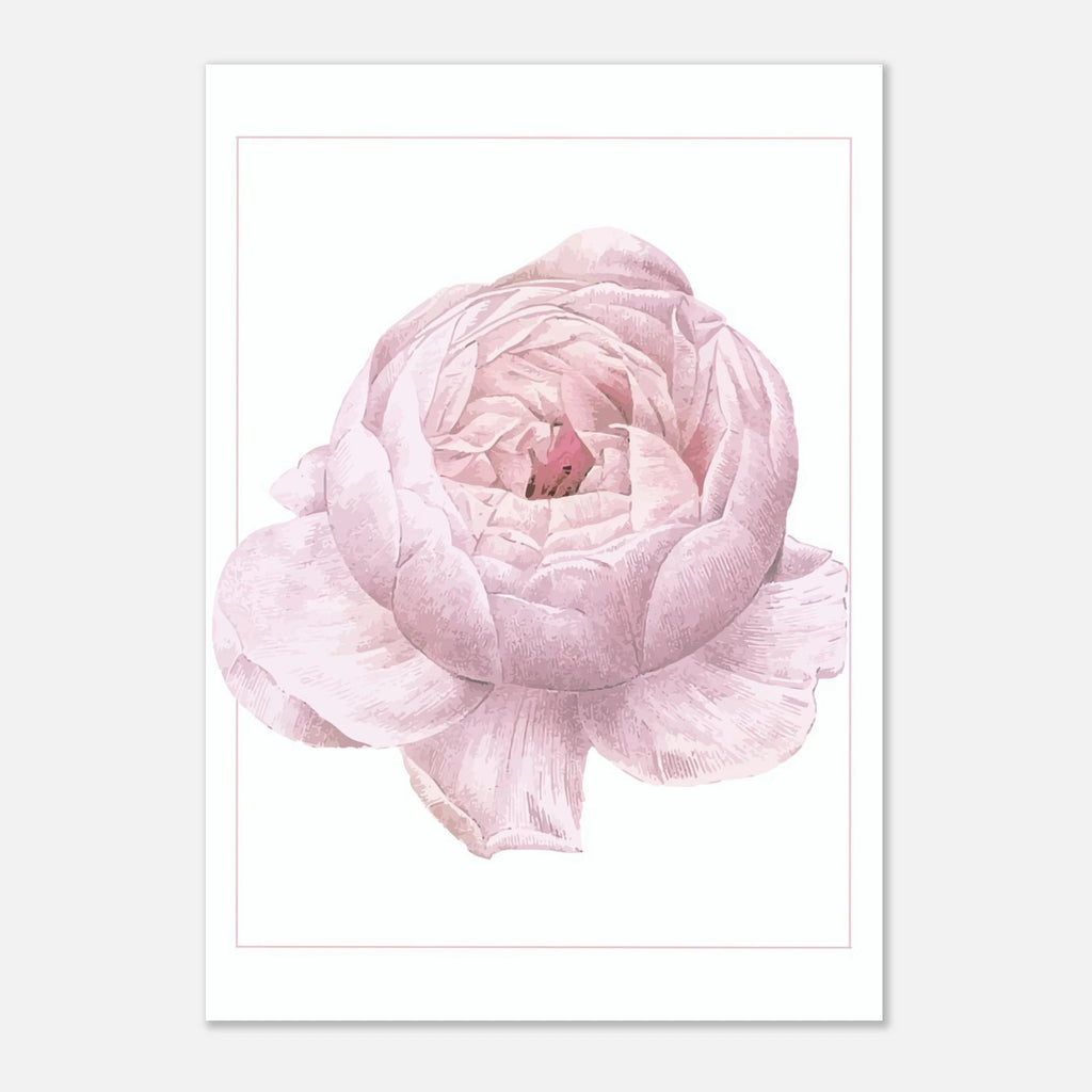 Rose Flower Poster - Calda Design Studio