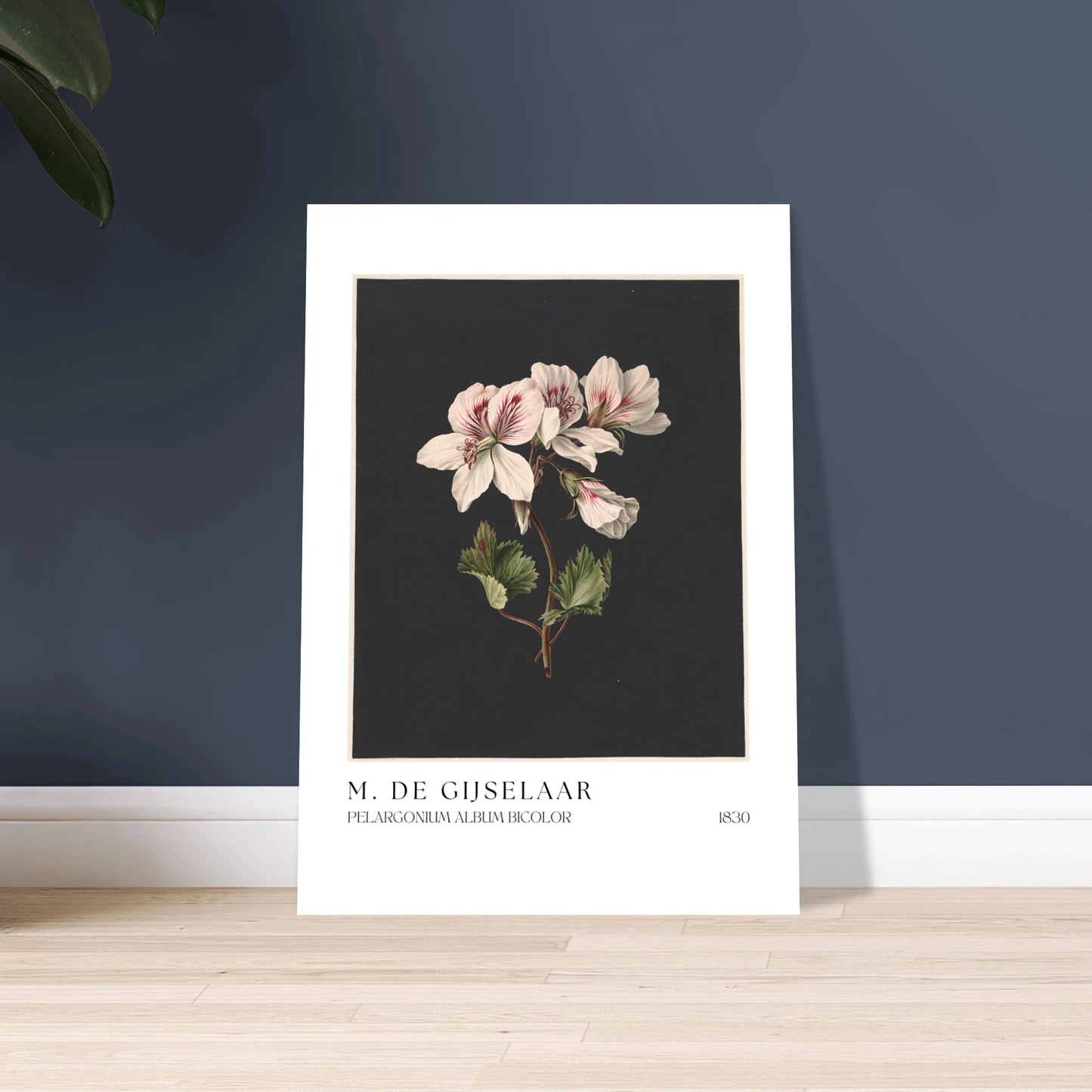 74f1e9fc-ab4d-442d-b6a6-1a258018fb2b