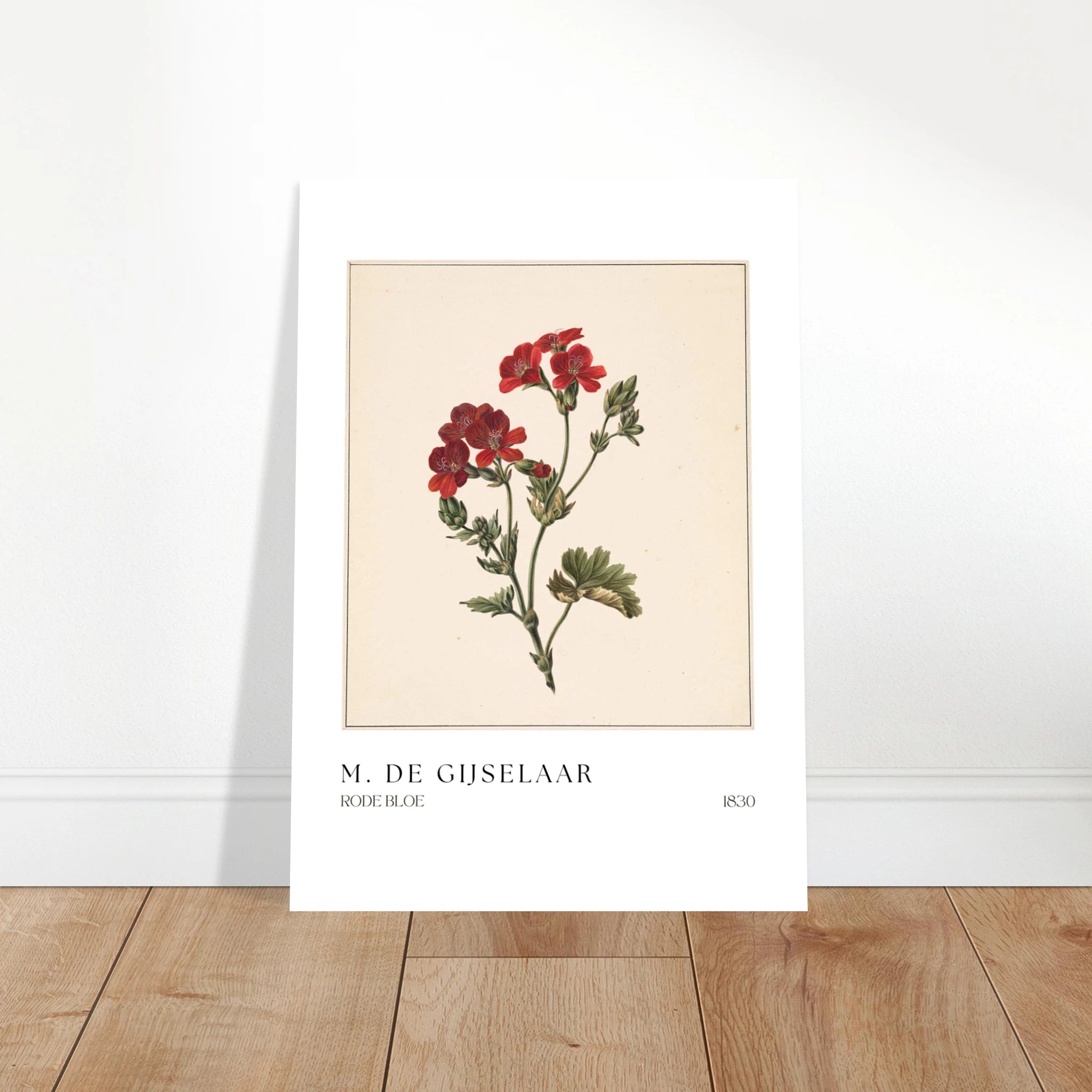 Rode Bloe Poster - Calda Design Studio