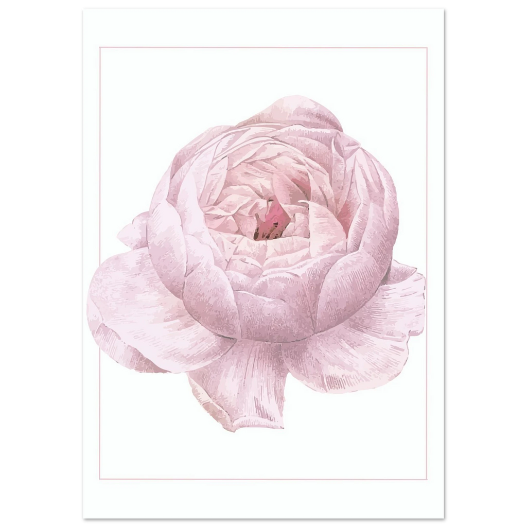 Rose Flower Poster - Calda Design Studio