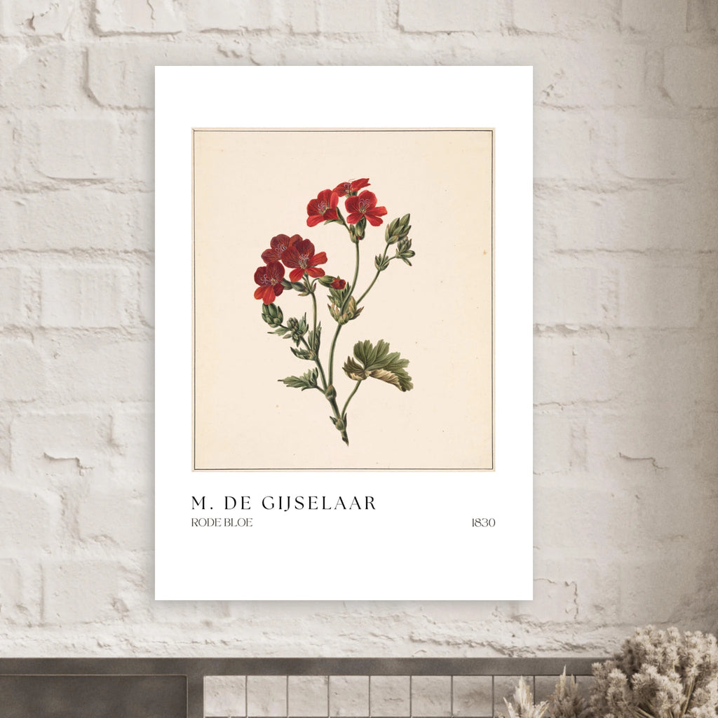 Rode Bloe Poster - Calda Design Studio