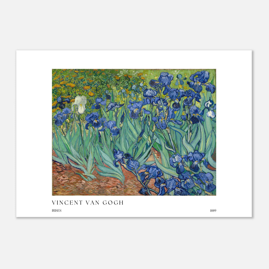 Irises Poster - Calda Design Studio