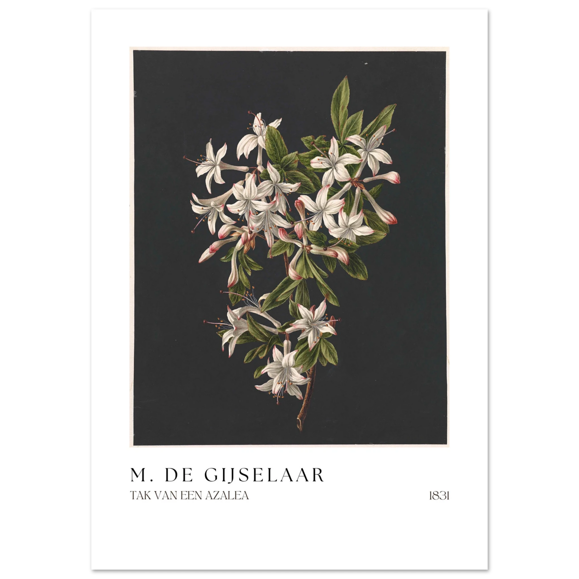 c18bf864-ebc1-4171-9edb-fbe6512e493a