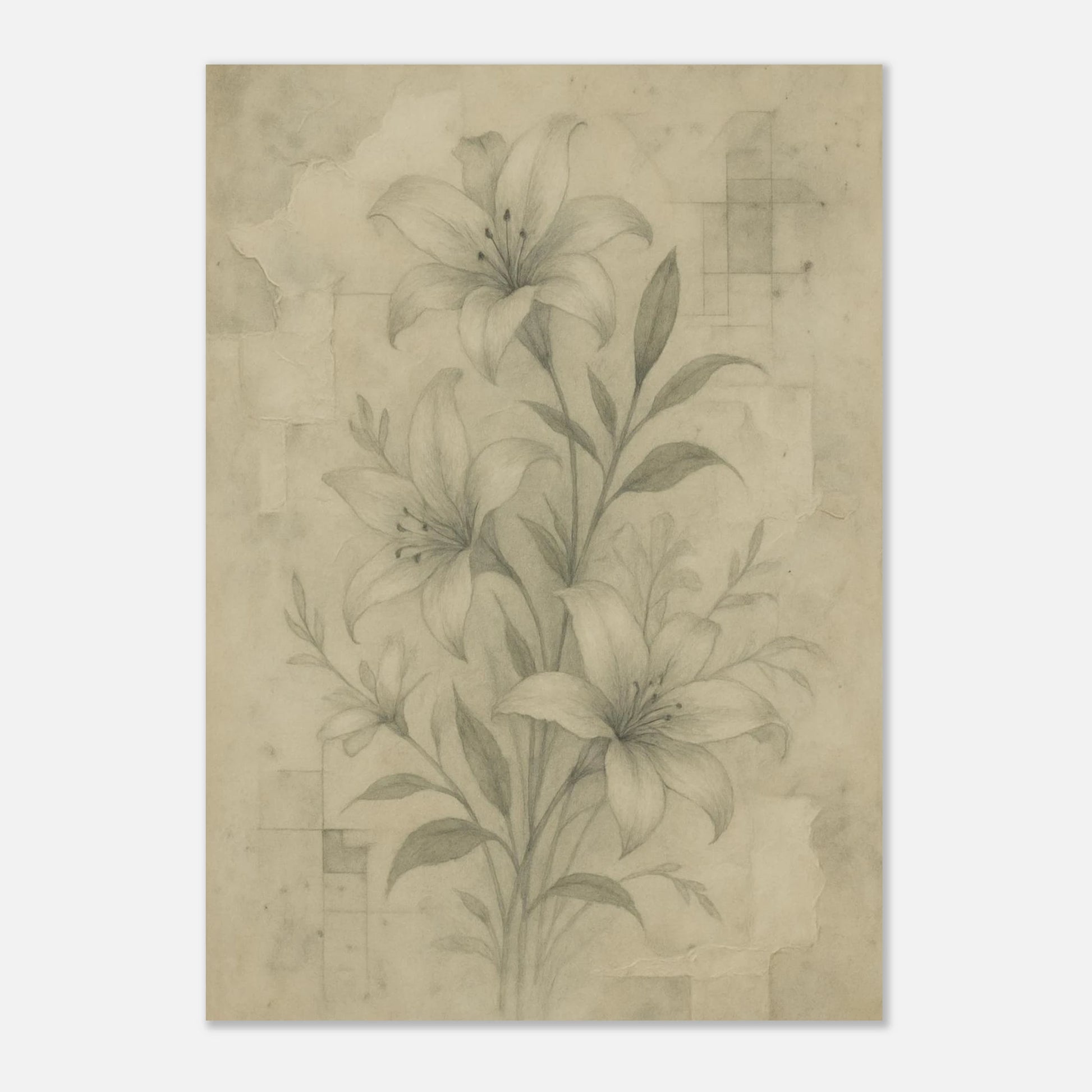 c192a5aa-77fa-4e8e-bbe4-086c5e62d38e