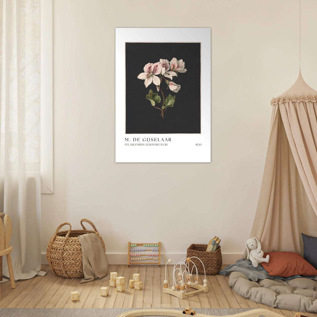 Pelargonium album bicolor Poster - Calda Design Studio