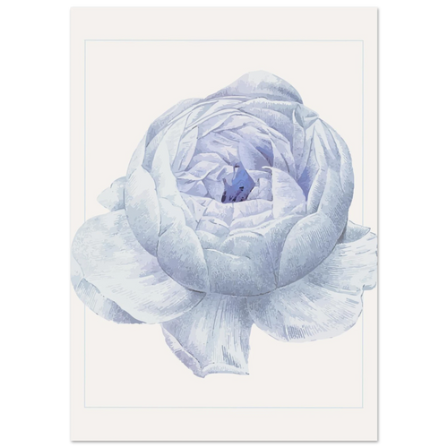 Blue Flower Poster - Calda Design Studio