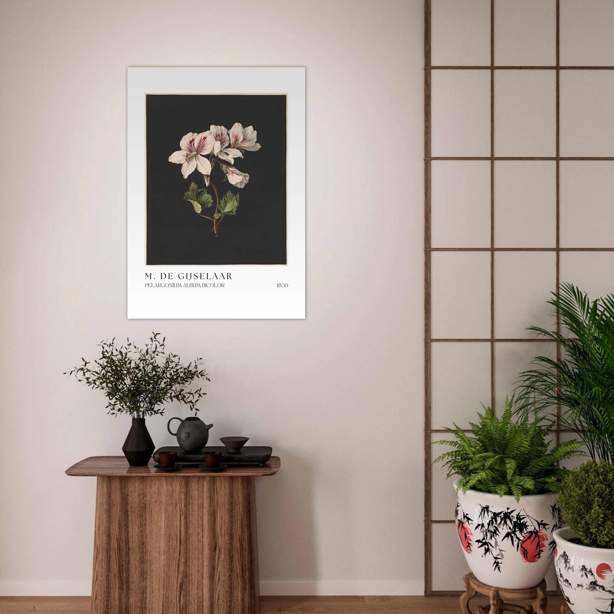 Pelargonium album bicolor Poster - Calda Design Studio